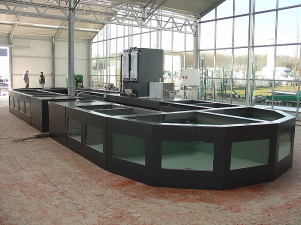 Opstelling polyester vijvervisbewaarsysteem bij nieuwbouw tuincentrum Opstelling polyester vijvervisbewaarsysteem bij nieuwbouw tuincentrum