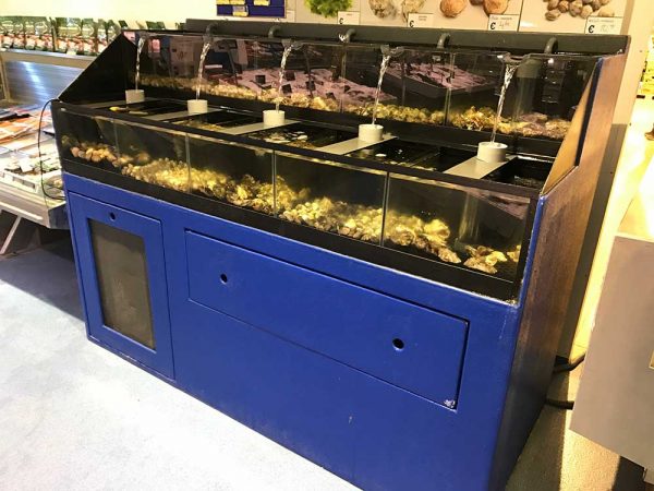 Schelpdieren-systeem-Makro-(1) Schelpdieren-systeem-Makro-(1)